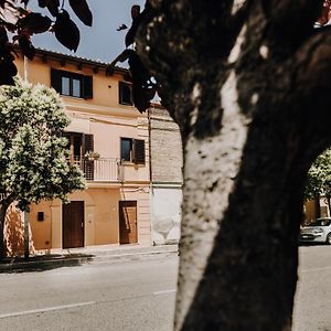 B&B La Cicala